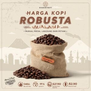 harga kopi robusta malang